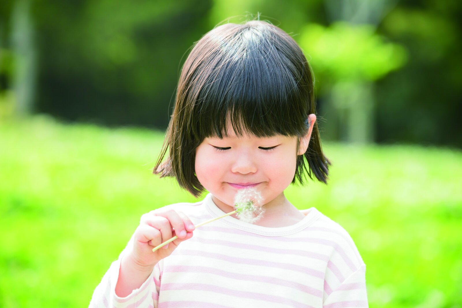 風に揺れる花の綿毛を持つ子ども